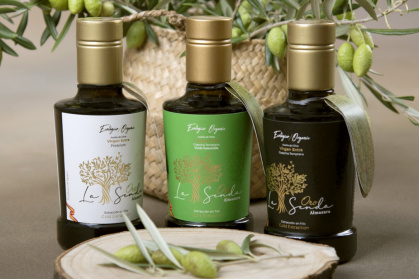 Cesta Gourmet Nº 15